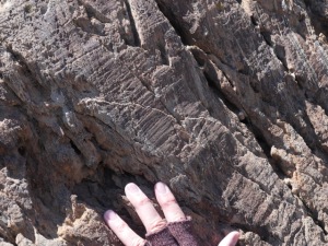 Wyo_Stromatolite 63